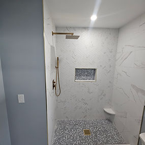 Bathrooms project 2